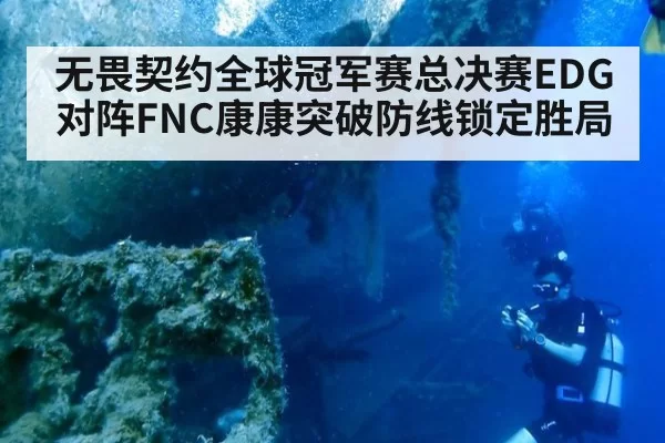 无畏契约全球冠军赛总决赛EDG对阵FNC康康突破防线锁定胜局